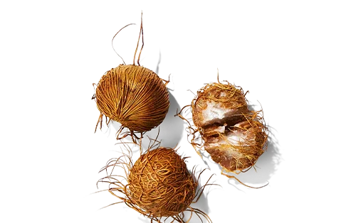 Ingredient_module_Acai-Oil-Main_Image_1_1024x1024