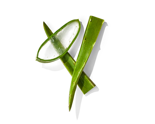 Ingredient_module_Aloe-Juice-_Image_1_1024x1024